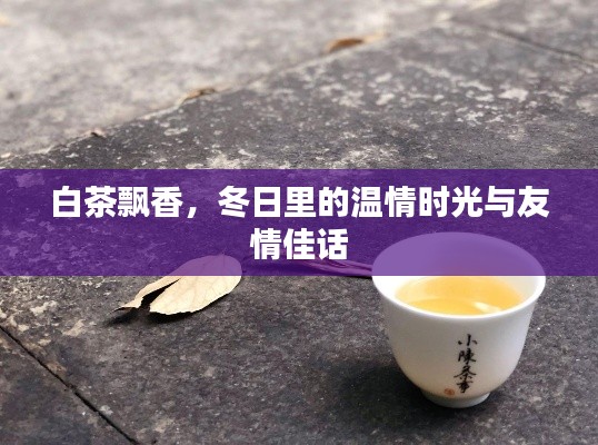 白茶飘香,冬日温情时光里的友情佳话