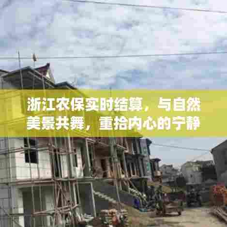 浙江农保实时结算,与自然共舞,重拾宁静之旅