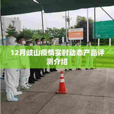 12月岐山疫情实时动态产品全面评测介绍