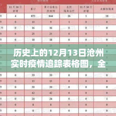 历史上的12月13日沧州实时疫情追踪概览与深度分析