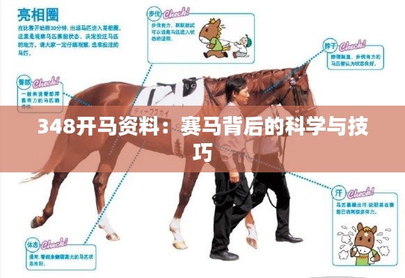 348开马资料:赛马背后的科学与技巧