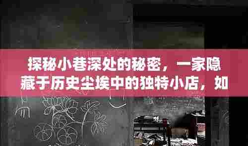 探秘隐藏小巷的独特小店,Excel实时填表玩转WPS指南(12月13日)