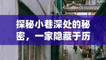 探秘隐藏小巷的独特小店,Excel实时填表玩转WPS指南(12月13日)