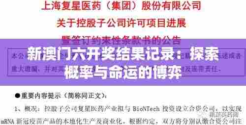 新澳门六开奖结果记录:探索概率与命运的博弈