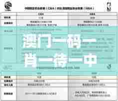 澳门一码一肖一待一中四不像348期：技术分析带来的新视角