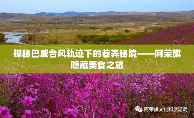 巴威台风轨迹下的巷弄秘境,阿荣旗美食探秘之旅