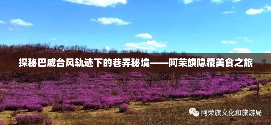 巴威台风轨迹下的巷弄秘境,阿荣旗美食探秘之旅