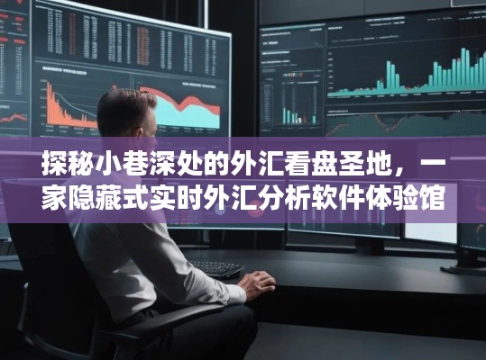 探秘小巷深处的外汇分析圣地,实时外汇分析软件体验馆揭秘