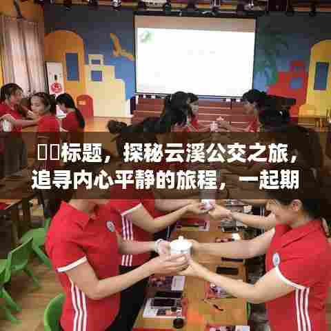 探秘云溪公交之旅,追寻内心平静的旅程,展望岳阳云溪公交美好未来