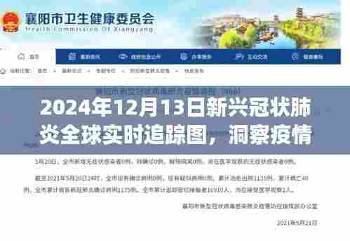 新兴冠状肺炎全球实时追踪图,洞察疫情发展,共筑健康防线(2024年12月13日更新)