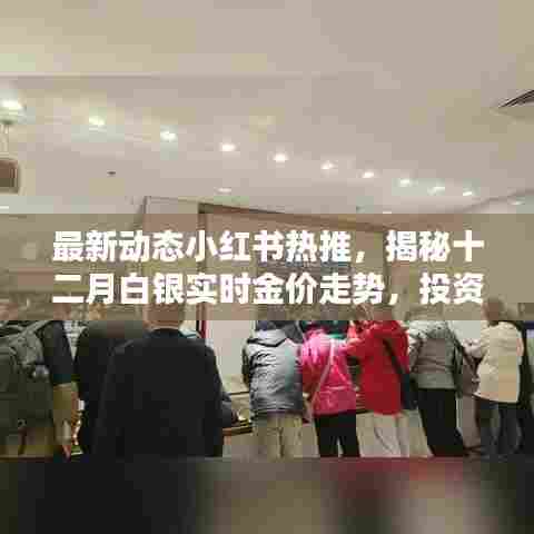 揭秘十二月白银实时金价走势，小红书热推的投资收藏必备攻略！