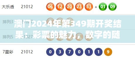 澳门2024年第349期开奖结果:彩票的魅力,数字的随机性