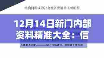 12月14日新门内部资料精准大全：信息时代的智囊团