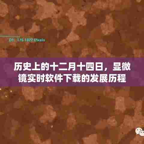 显微镜实时软件下载发展历程,回望十二月十四日的历史节点