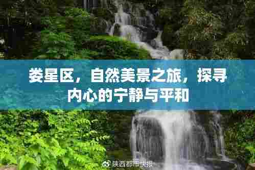 花开无言 第3页