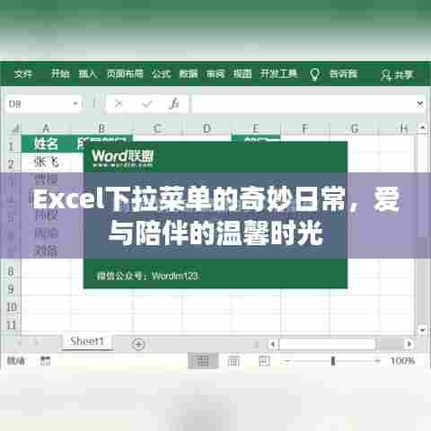 Excel下拉菜单的魔法与生活的温馨时光，爱与陪伴的日常