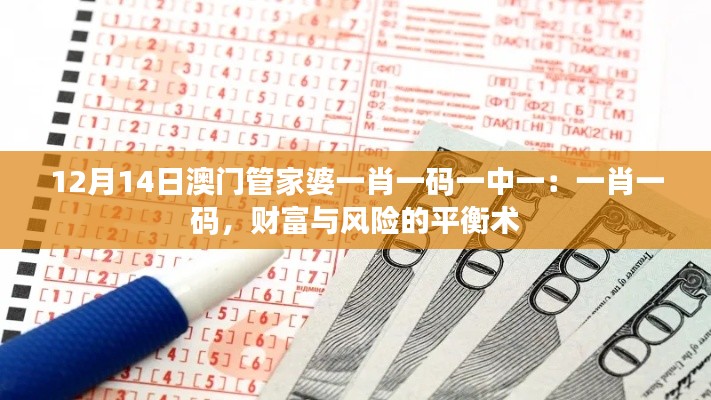 12月14日澳门管家婆一肖一码一中一:一肖一码,财富与风险的平衡术
