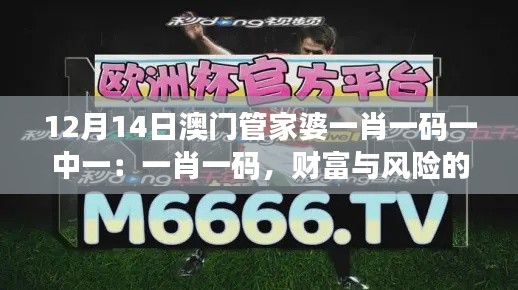 12月14日澳门管家婆一肖一码一中一:一肖一码,财富与风险的平衡术