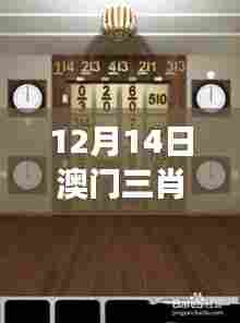 12月14日澳门三肖三码精准100%黄大仙＂：黄大仙的数字游戏