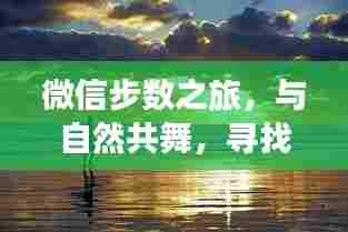 微信步数之旅,与自然同行,探寻内心宁静