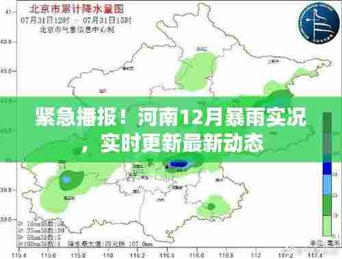 河南12月暴雨实时更新,最新动态与实况播报