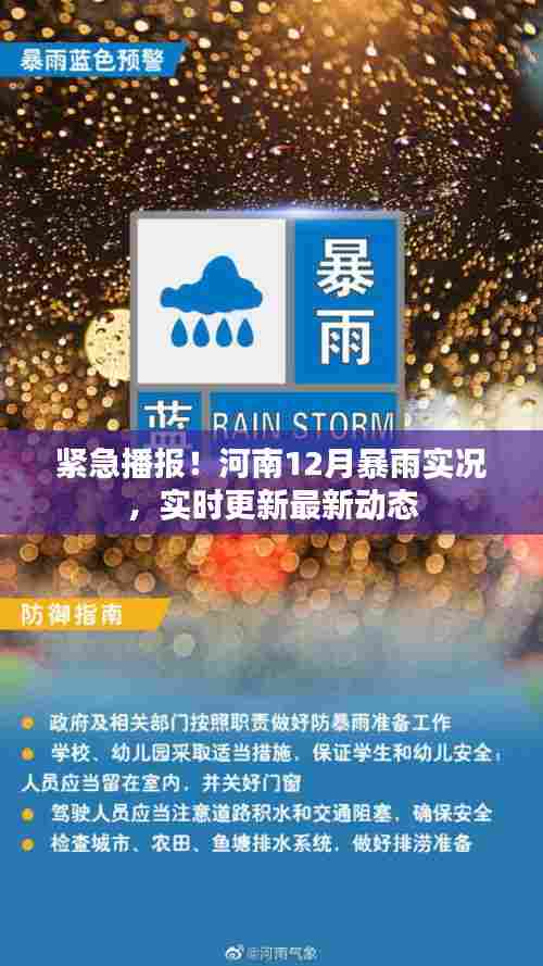 河南12月暴雨实时更新,最新动态与实况播报
