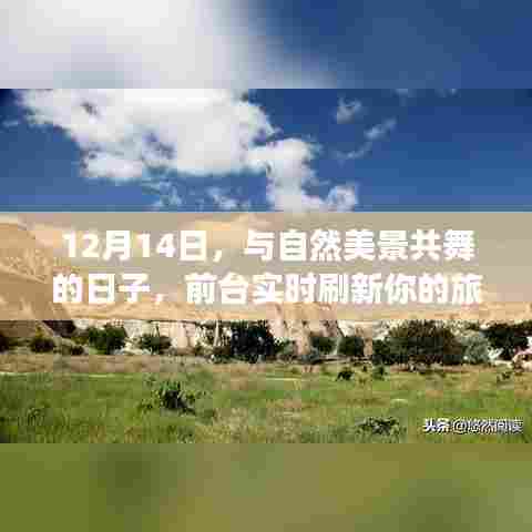 与自然共舞,12月14日刷新旅行心境的奇妙之旅