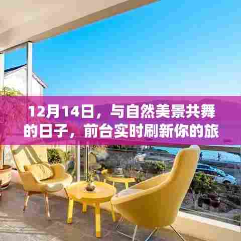 与自然共舞,12月14日刷新旅行心境的奇妙之旅