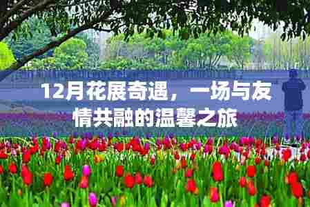 12月花展之旅,友情与温馨的交融盛宴
