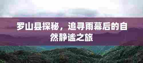 五侯七贵 第3页