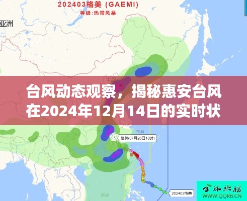 揭秘惠安台风实时动态,台风观察报告(2024年12月14日)