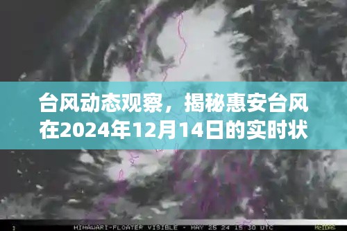 揭秘惠安台风实时动态,台风观察报告(2024年12月14日)