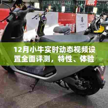12月小牛实时动态视频设置全面解析,特性、体验与竞品对比评测报告