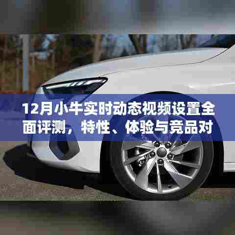 12月小牛实时动态视频设置全面解析,特性、体验与竞品对比评测报告