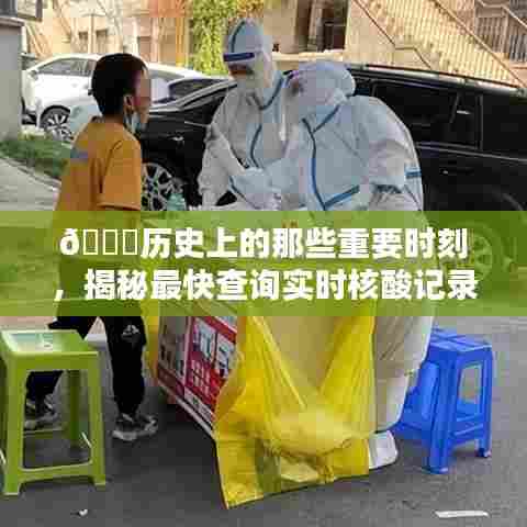 揭秘历史重要时刻与实时核酸记录查询的神秘通道