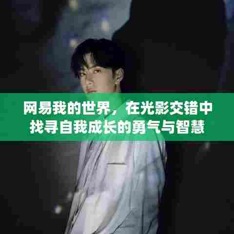 网易我的世界,光影间探寻成长勇气与智慧之路