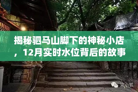 驷马山脚下的神秘小店,探索隐藏小巷的别样风情与实时水位背后的故事