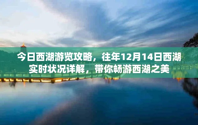 畅游西湖,今日游览攻略及往年实时状况详解