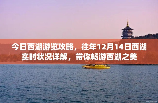 畅游西湖,今日游览攻略及往年实时状况详解