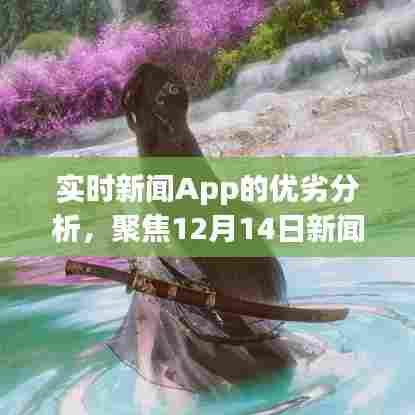 实时新闻App深度剖析,聚焦最新动态与优劣分析(12月14日)
