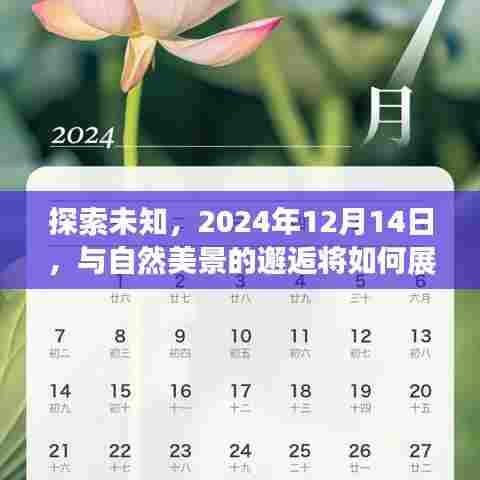 探索未知,自然美景的邂逅,2024年12月14日的奇妙之旅