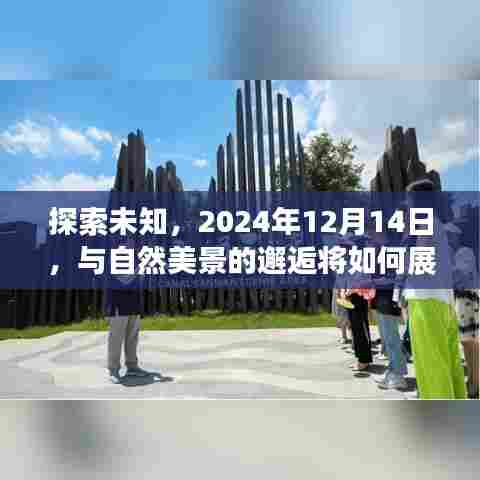 探索未知,自然美景的邂逅,2024年12月14日的奇妙之旅