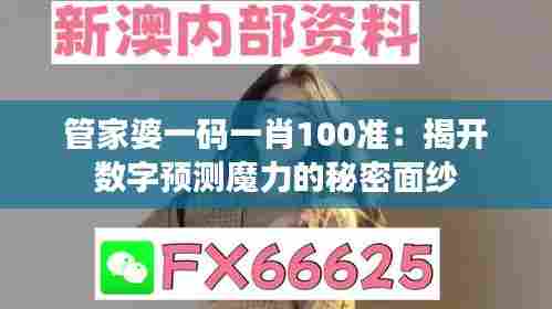 管家婆一码一肖100准:揭开数字预测魔力的秘密面纱