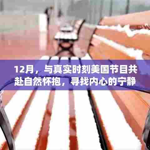 12月美国真实时刻自然之旅,探寻内心宁静的旅程