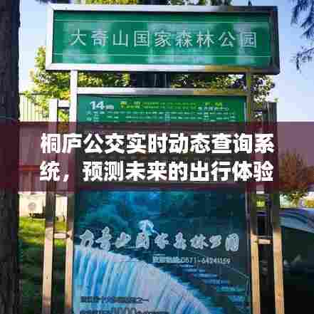 桐庐公交实时动态查询系统,未来出行体验的预测与展望