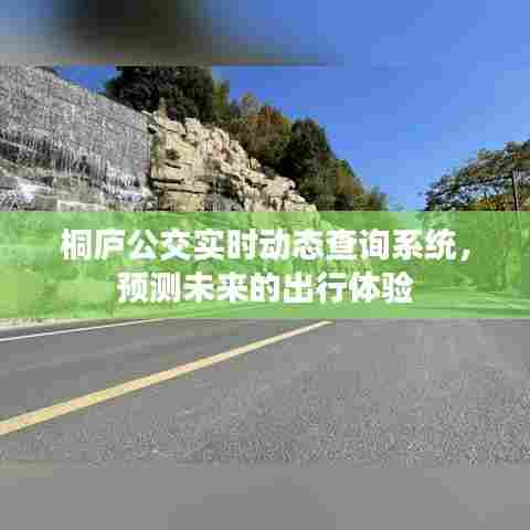 桐庐公交实时动态查询系统,未来出行体验的预测与展望