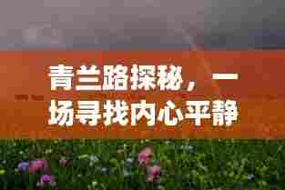 青兰路探秘之旅，寻找内心平静的旅程