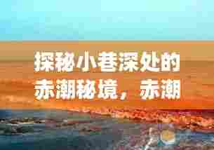 探秘赤潮秘境,小巷深处的实时查询图与独特美食体验