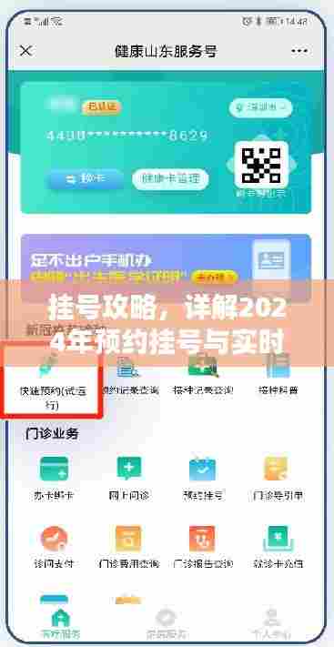 挂号攻略详解,预约挂号与实时挂号步骤初学者进阶指南(2024版)