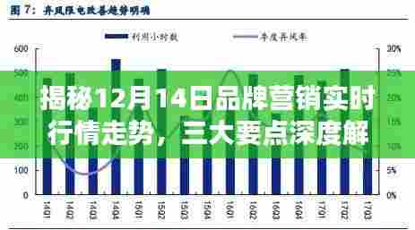 揭秘品牌营销实时行情走势,深度解读三大要点(12月14日)
